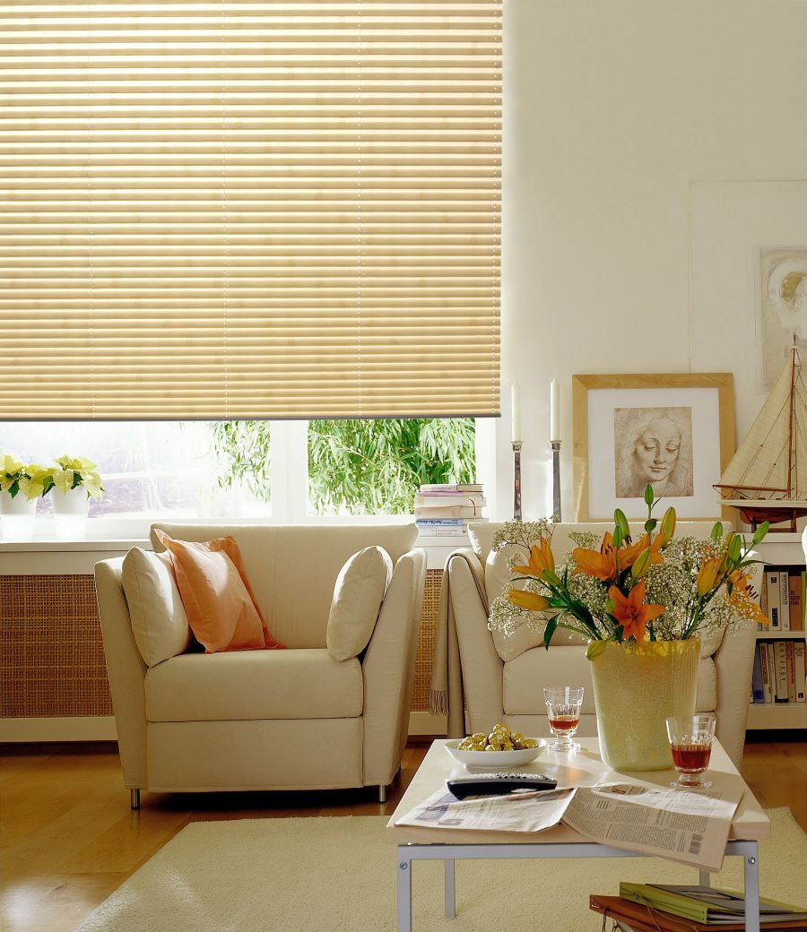 Banishing the Top 3 Misconceptions About Motorized Shades 